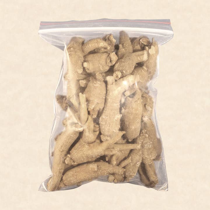 1/4 lbs Medium Ginseng Root for wholesale by Burmeister Ginseng