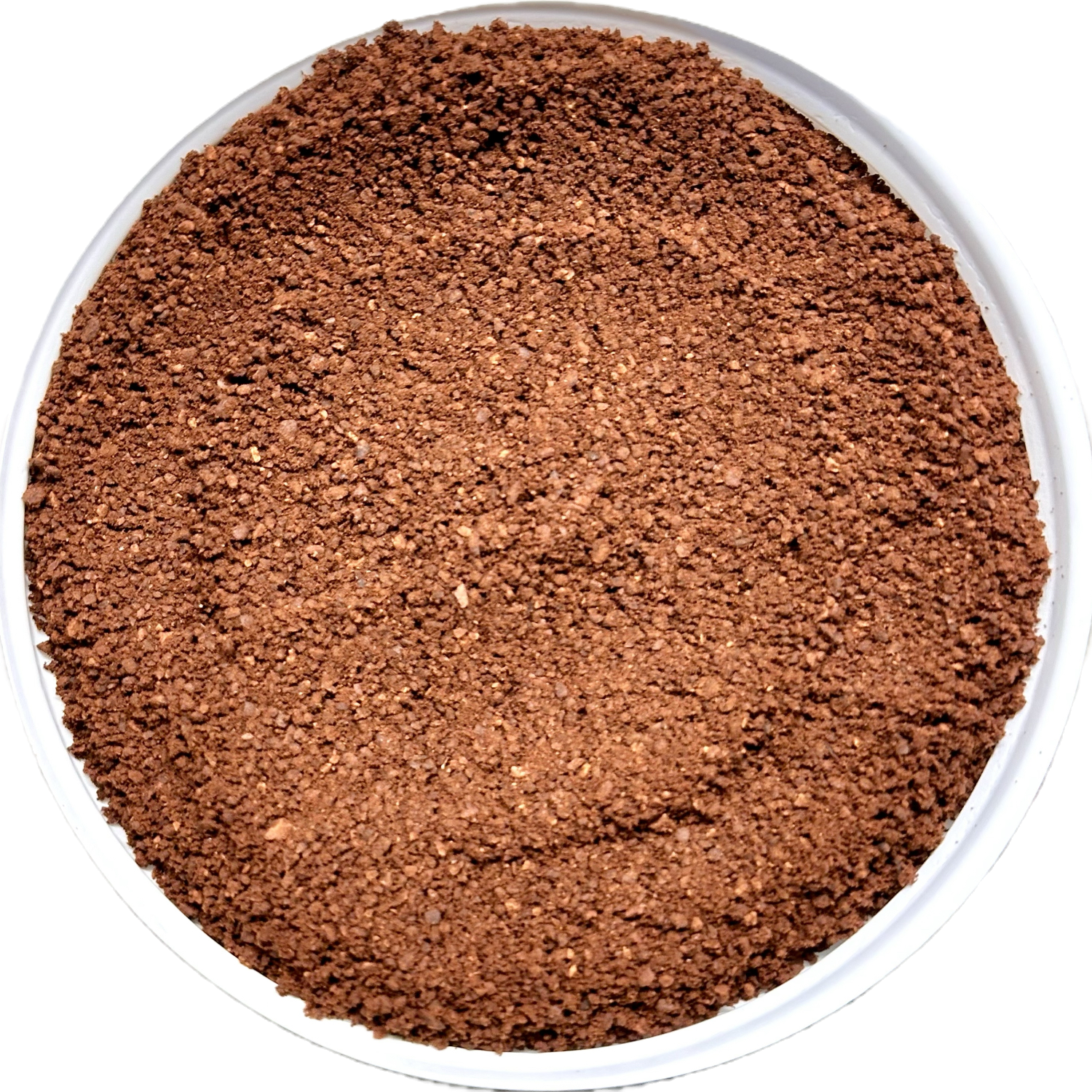 Bodéga Bean Co. - Wholesale Coffee Beans - Light - Roasted Coffee2