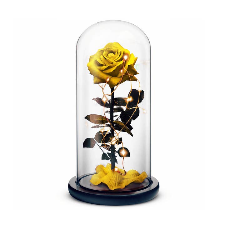 Beauty and The Beast Rose (Yellow) for wholesale by Rosephoria