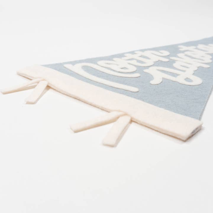 traveldashery - Wholesale Banner - north dakota pennant23