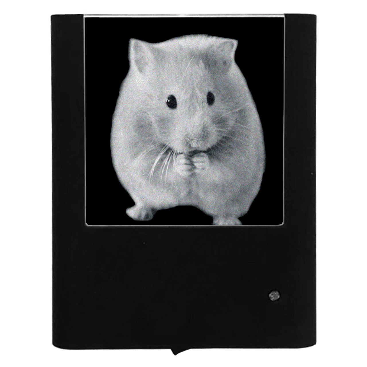Nightlight Studio – wholesale Nattlampa – Hamster0