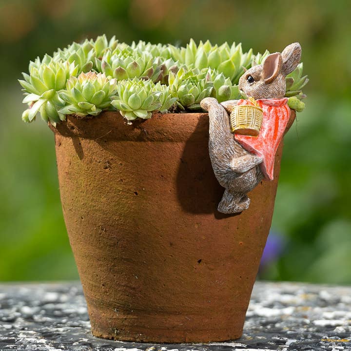 Beatrix Potter Flopsy Bunny plantepotteophæng for engroshandel hos Jardinopia UK
