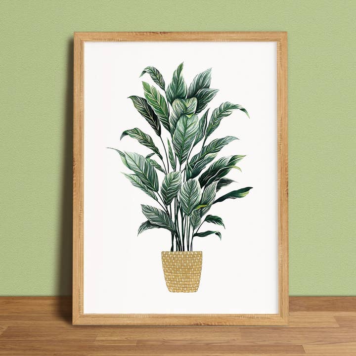 Impresión artística de pintura al gouache con forma de cesta tejida con plantas de oración para venta al por mayor de Lara Oztekin Designs