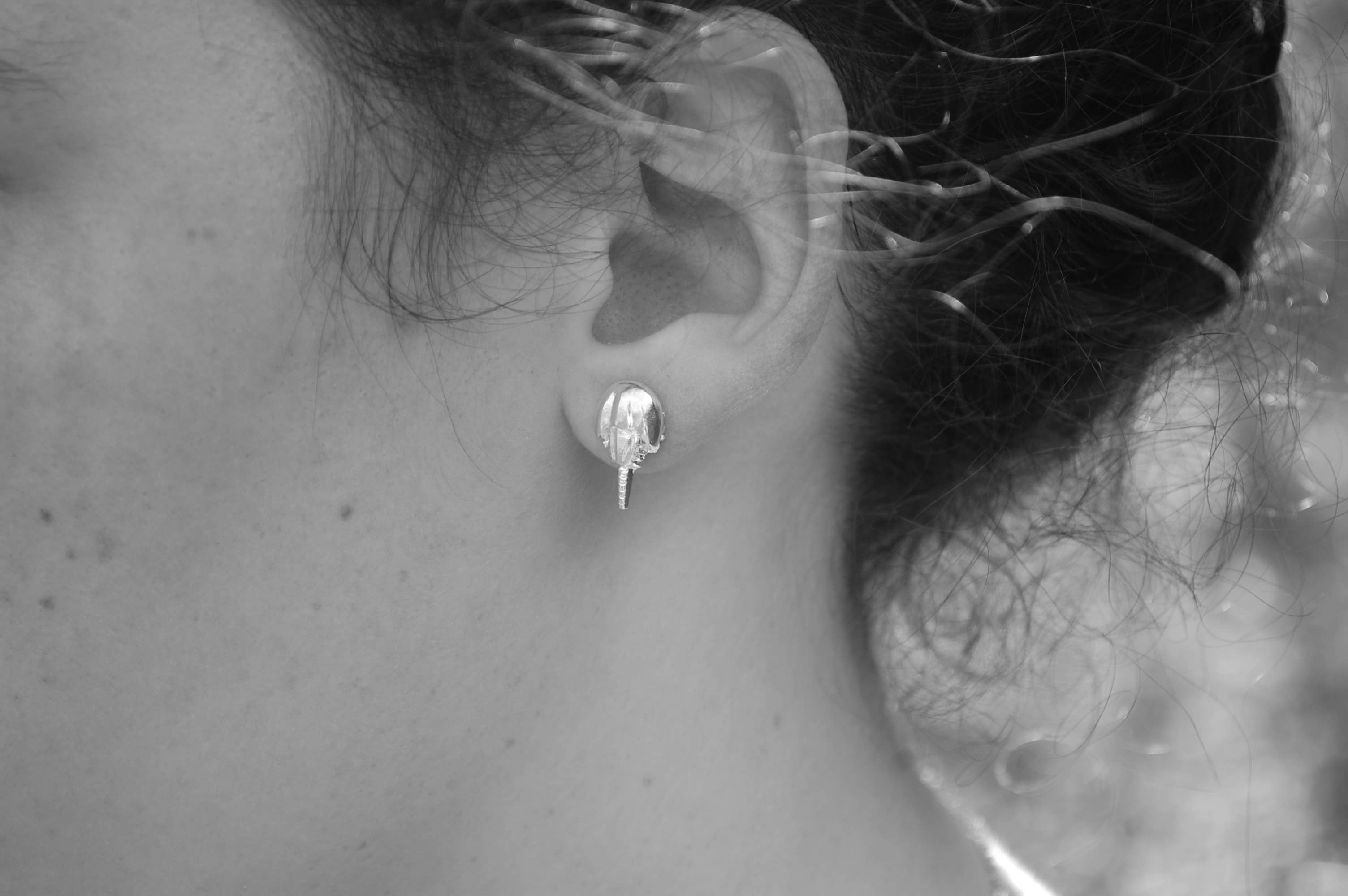 Semaki & Bird – wholesale Solitärörhängen – Hästskokrabba Örhängen - silver Naturhistoria1