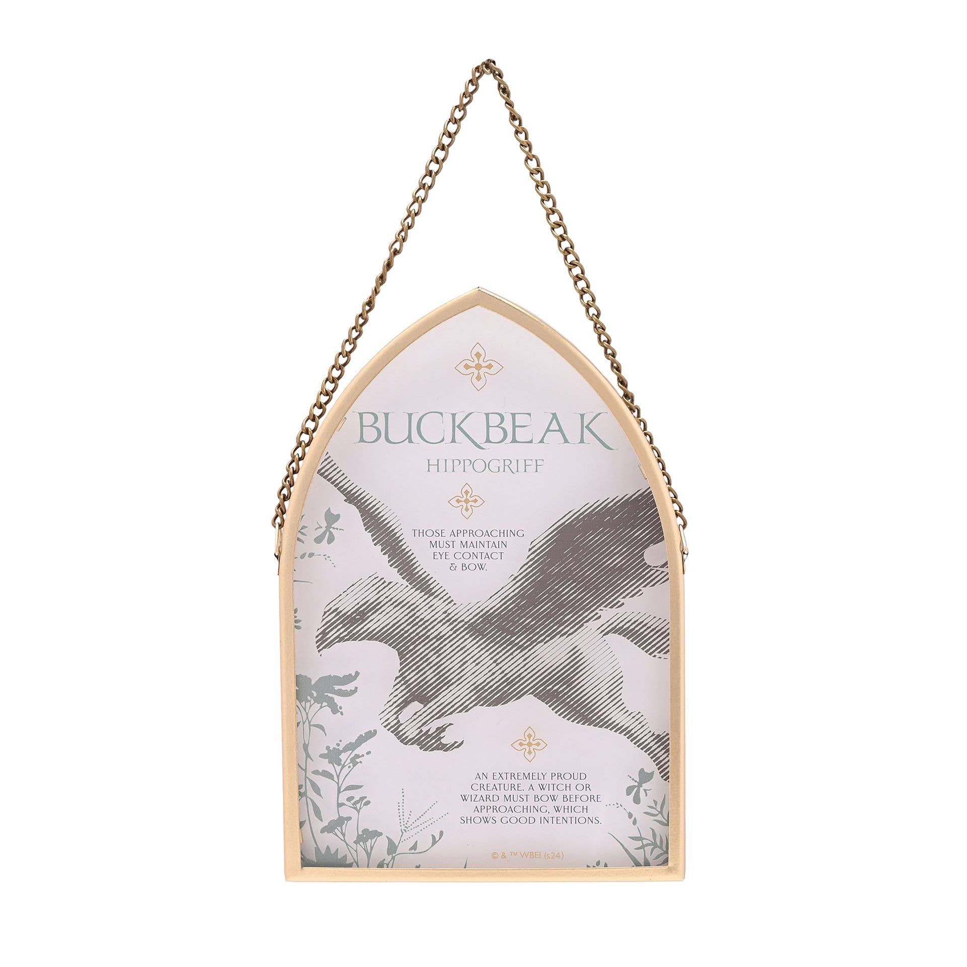 WIDDOP and Co. - Vente Plaque murale - Plaque d'arc Harry Potter Herbologie Warner Bros - Buckbeak1