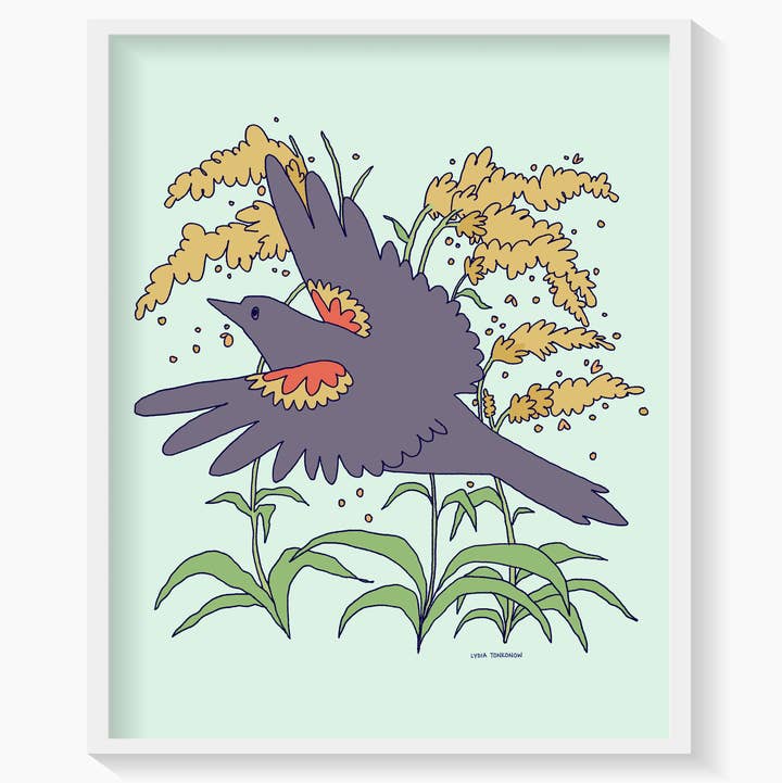 Lydia Tonkonow Art and Design LLC - Wholesale Art Print - Red-Winged Blackbird and Goldenrod - 8x10" Print0