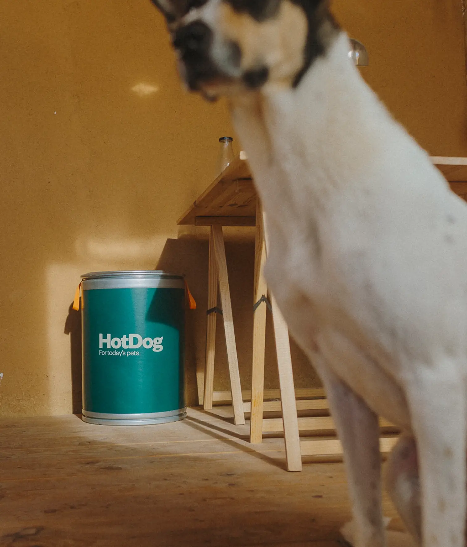 HotDog Pets - Wholesale Cube Storage - Feed canister10
