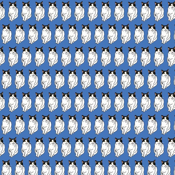 Lucha Wrapping Paper Sheet for wholesale by La Familia Green