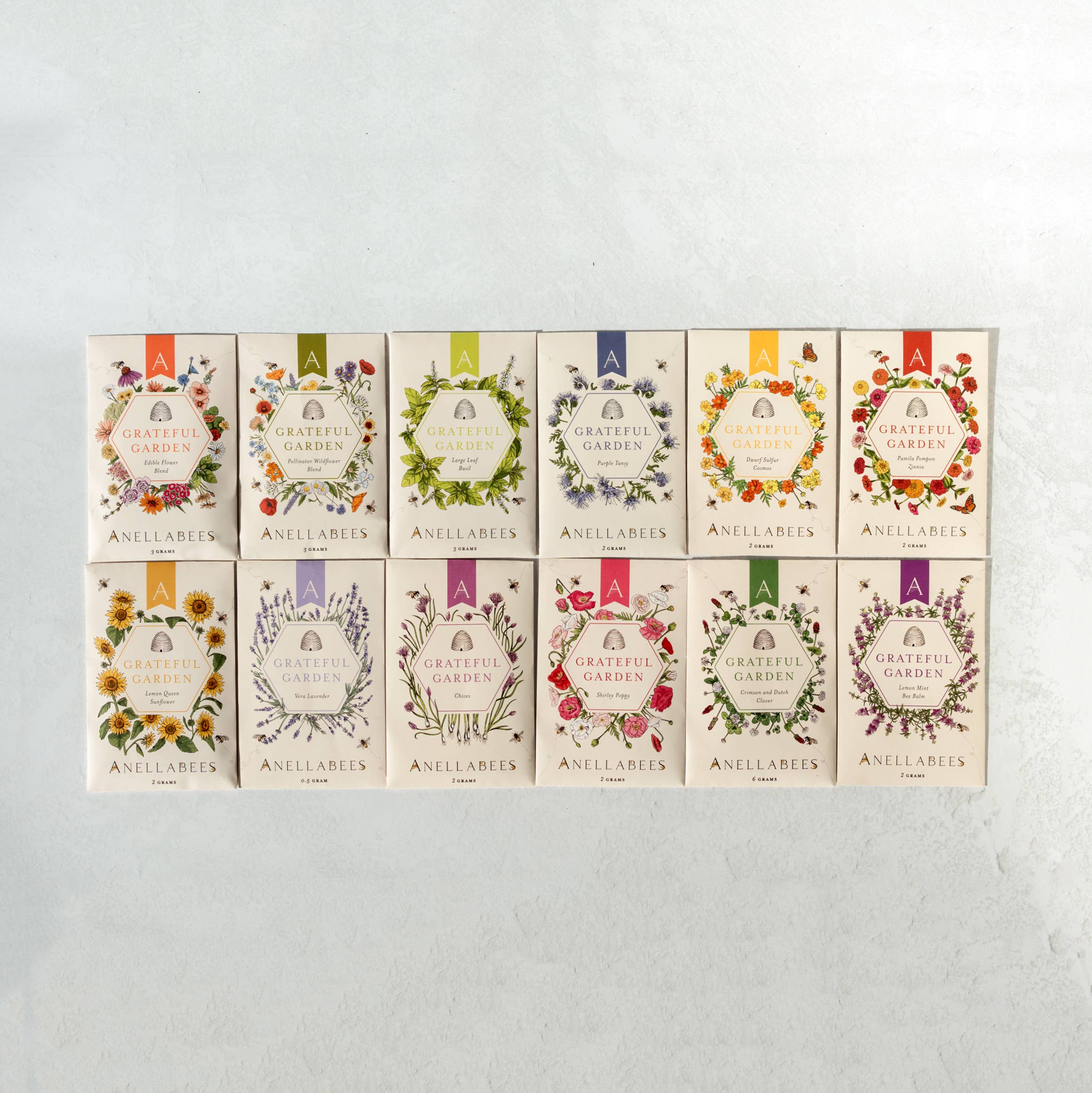 Anellabees - Vente Graines de plantes - Graines de Fleurs de Jardin Printanier Zinnia Pom Pom2