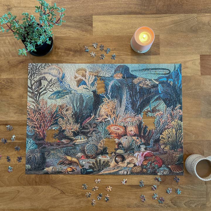 Ecologies Ocean Life Puslespil - Hidden Habitat for engroshandel hos Montrose Biology