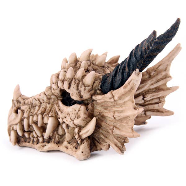 Puckator Ltd - Wholesale Money/Piggy Bank - Dragon Skull Money Box2