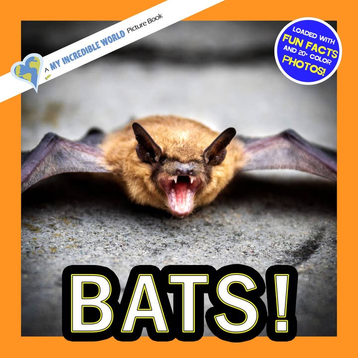 Bats! A My Incredible World Picture Book for Children for wholesale by My Incredible World