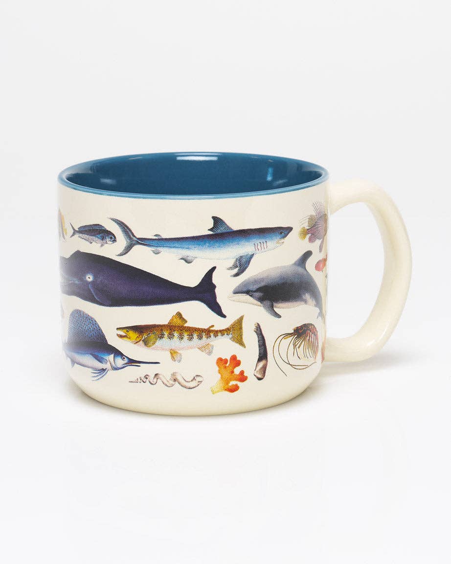 Cognitive Surplus EU - Vendita all'ingrosso Tazza - Tazza in ceramica da 15 oz di Zoologia Marina (Confezione da 4)0