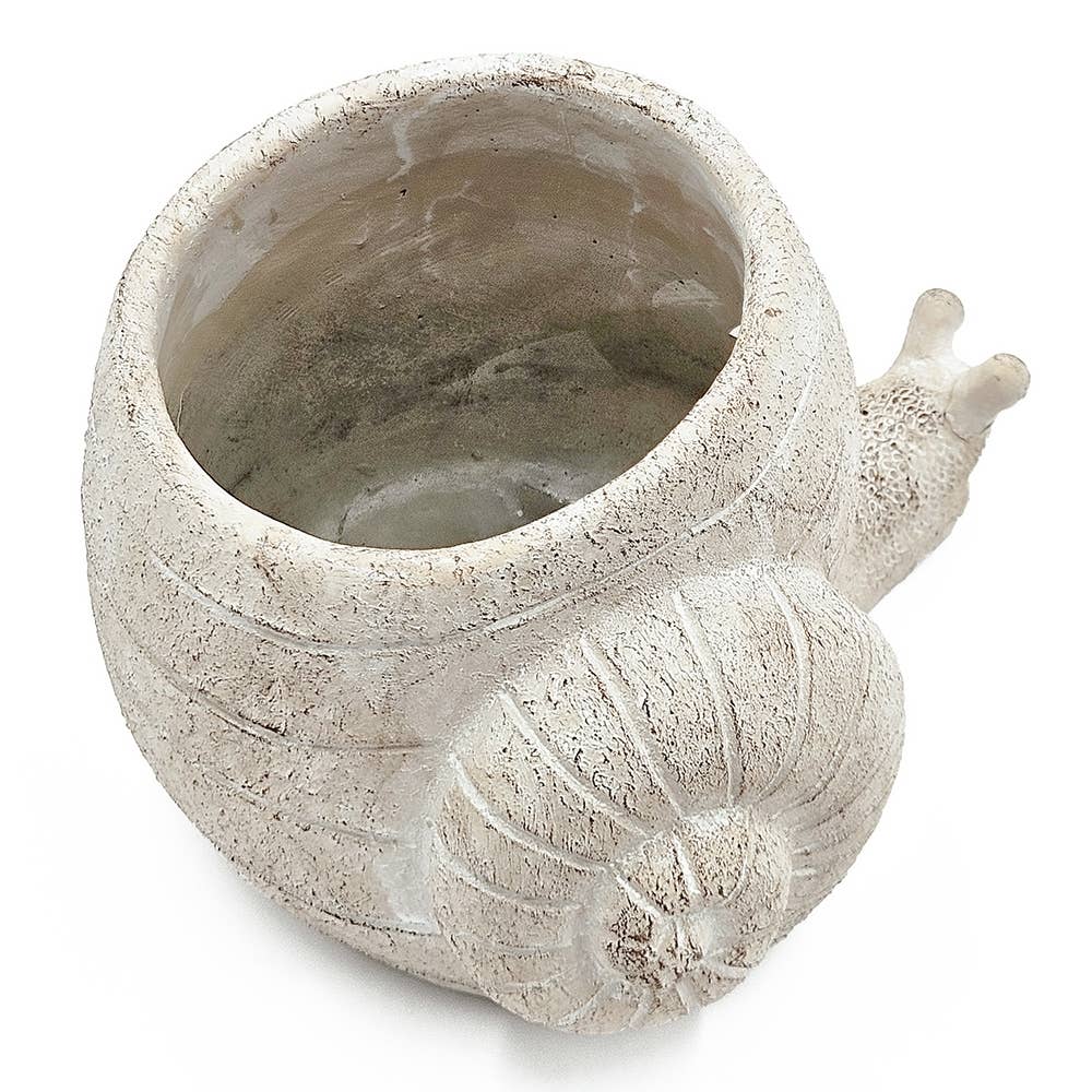 Beige Multi Decorative Sand & Cement Snail Planter with Texture for wholesale on Faire2
