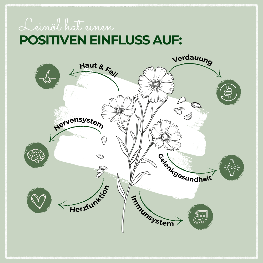 Kauartikel.com GmbH – Großhandel Nahrungsergänzungsmittel für Haustiere – Katze/Hund – LaPura Leinöl 1000 ml2