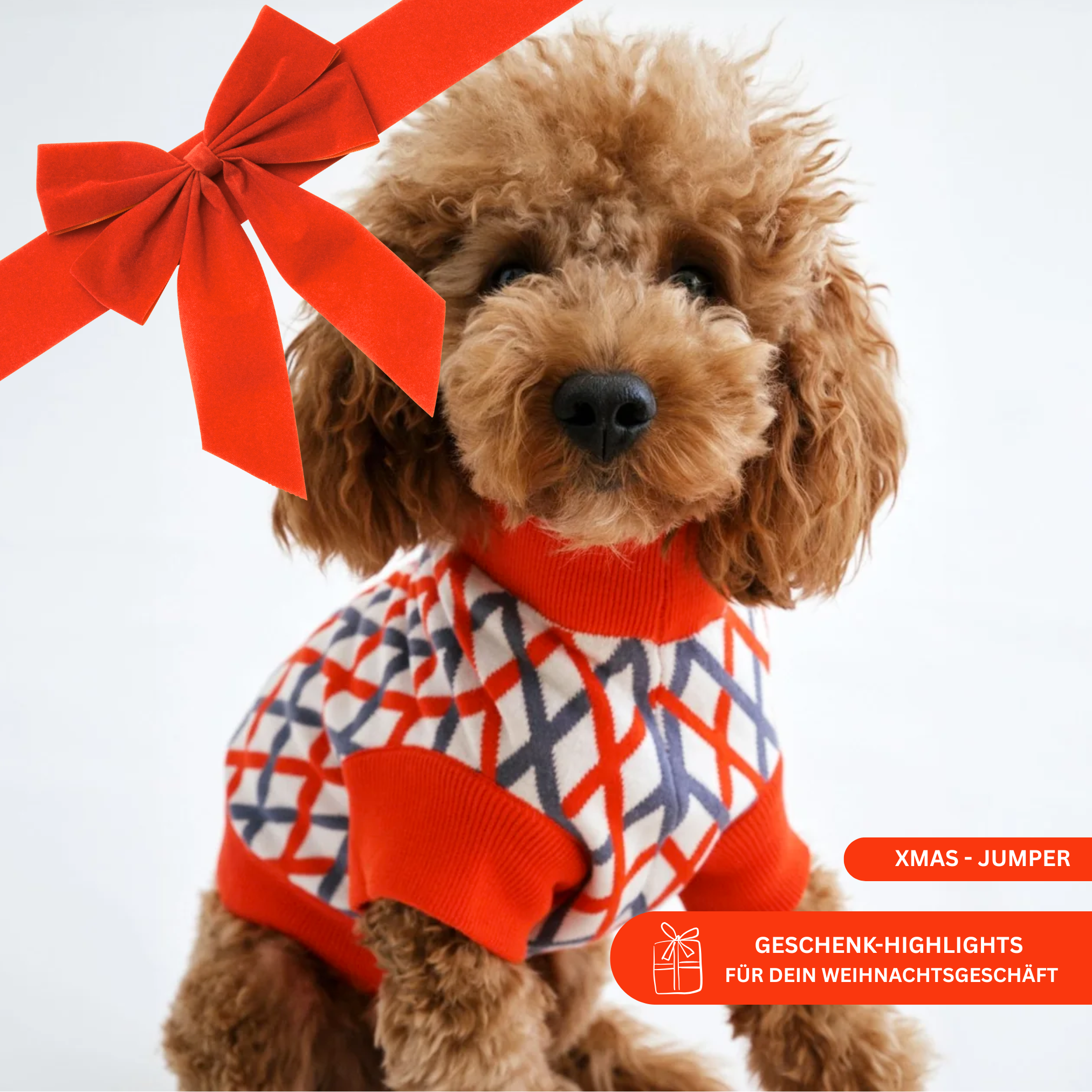 lumiies - high visibility - Wholesale Hondentrui - Hond - DE COTTONEN TRUI (Kersteditie)2