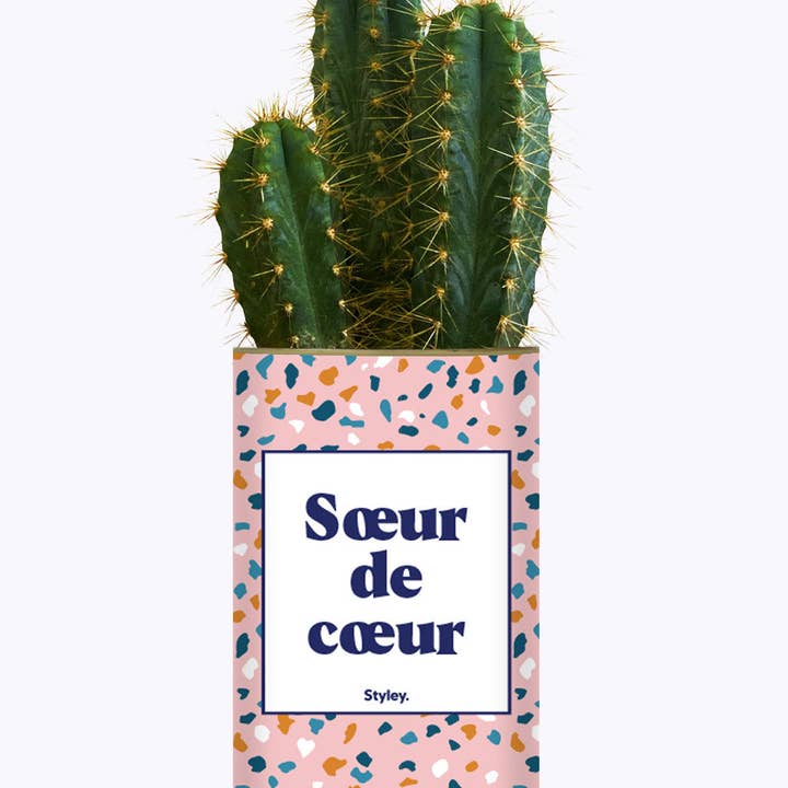 Soeur De Coeur - Plante and other Purchase Wholesale glaçons avec monnayeur. Free Returns & Net 60 Terms on Faire trending on Faire.