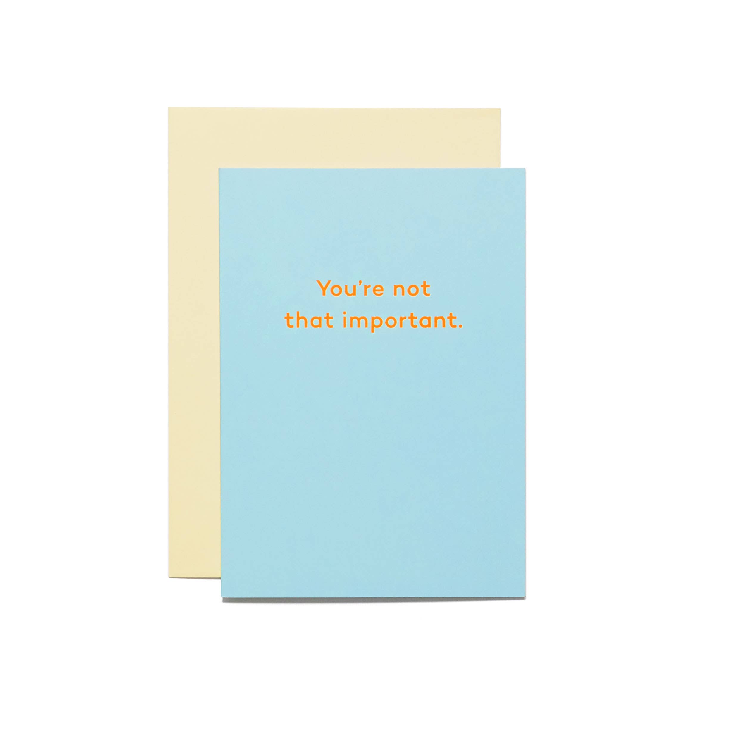 Mean Mail – wholesale Friendship card – You're Not That Important. friendship card1