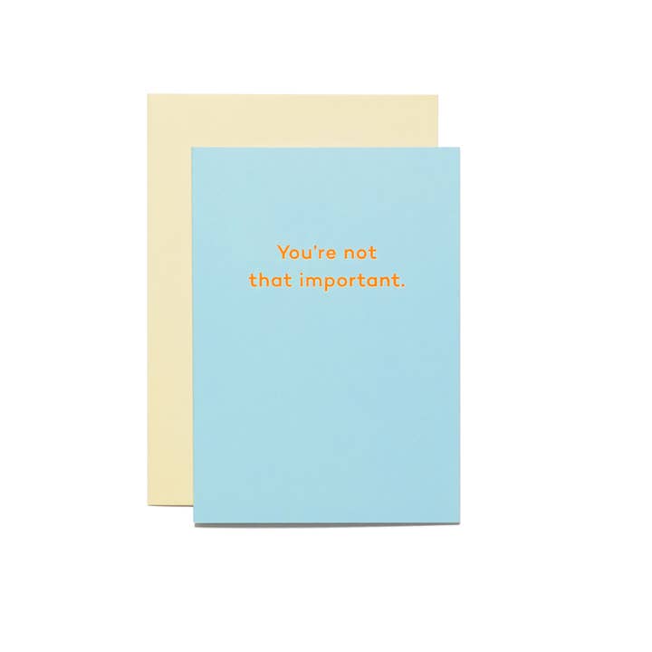 Mean Mail – wholesale Friendship card – You're Not That Important. friendship card1