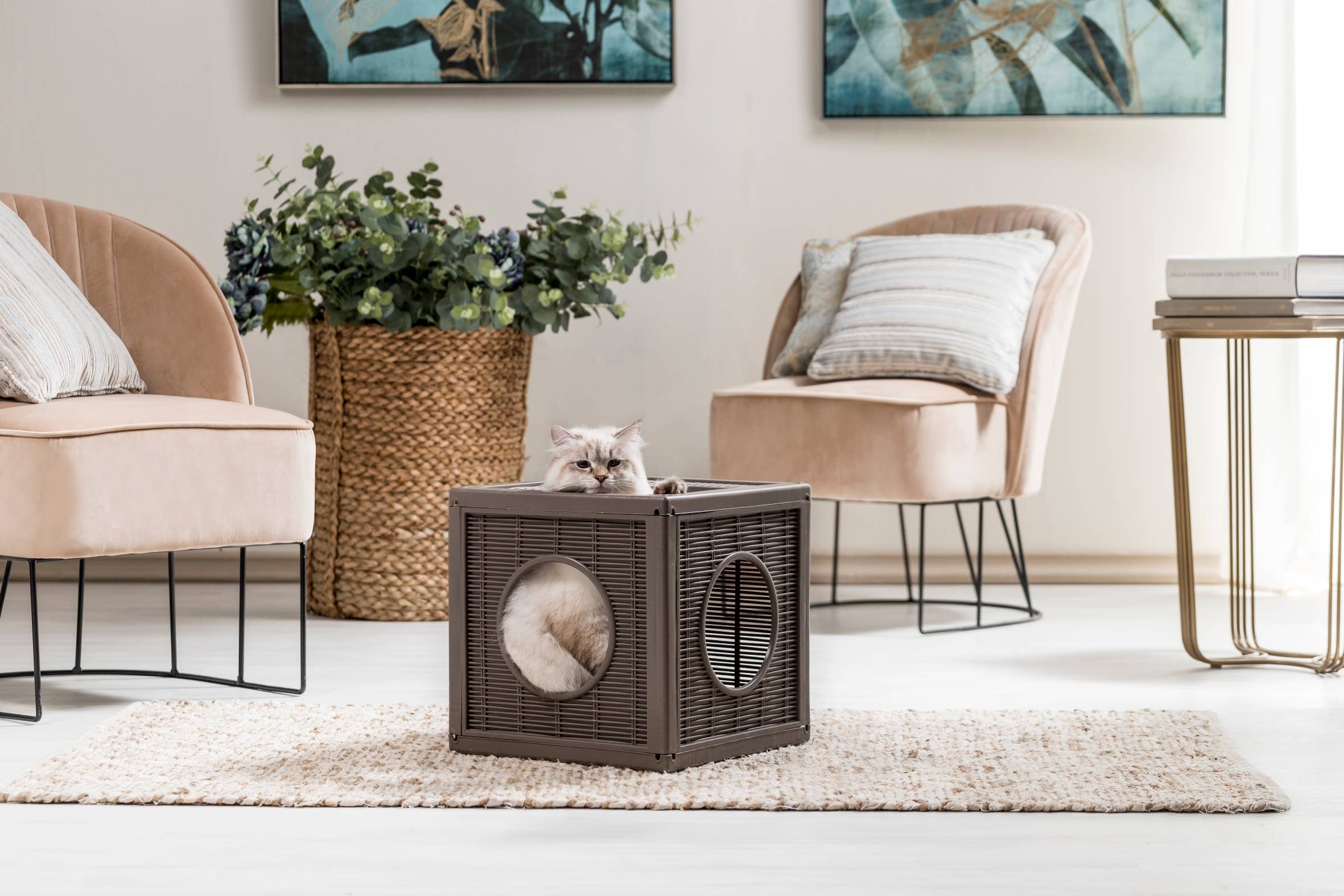 Newflands – wholesale Kattkliare - Katt – Qublo Kattgym6