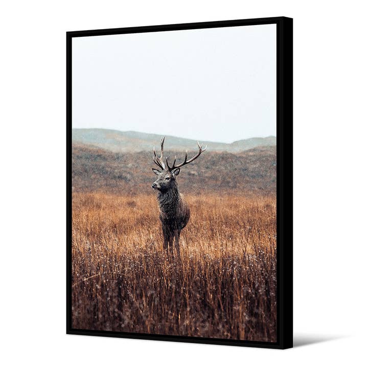 Billardtisch für den Großhandel von Podevache