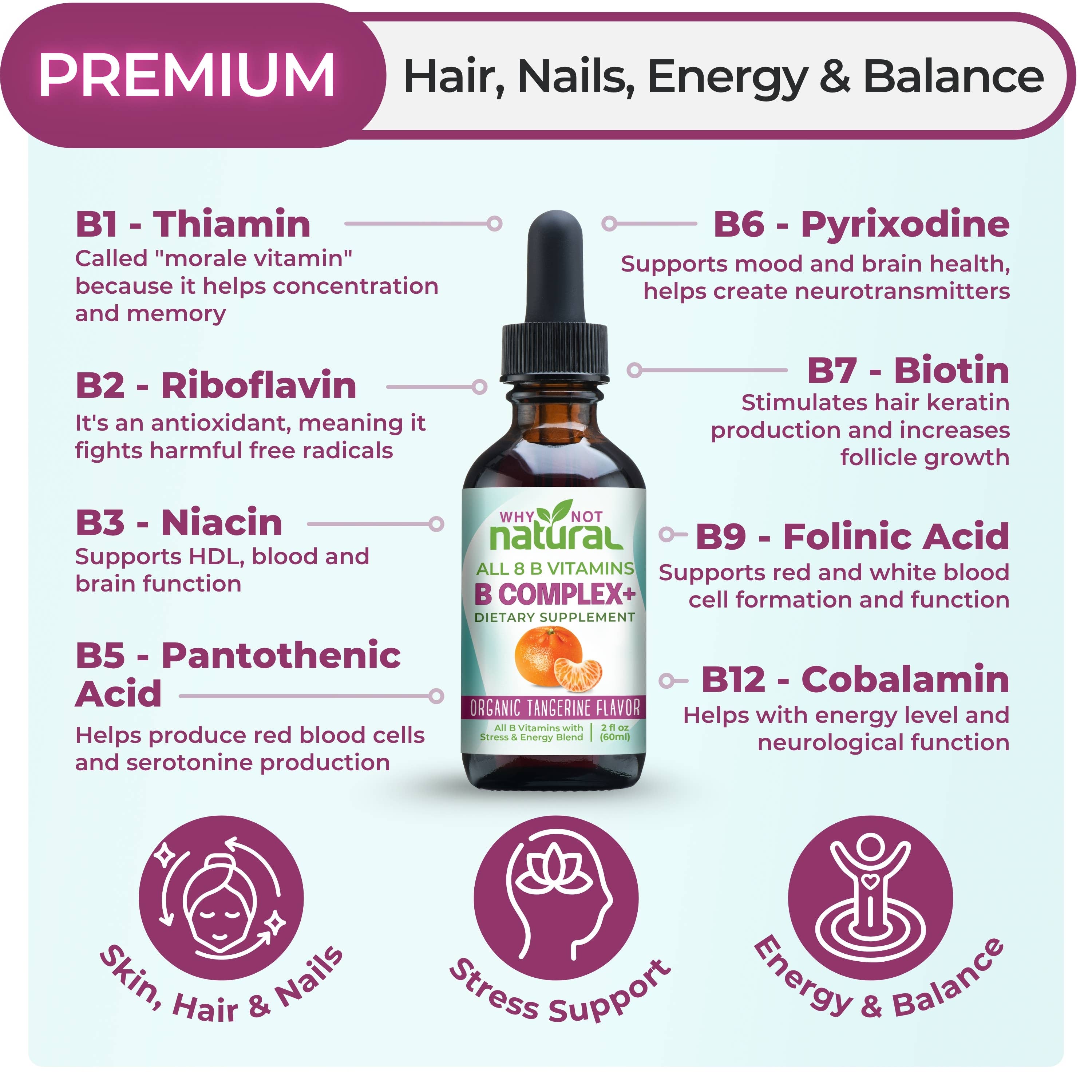 WhyNotNatural – Großhandel Nahrungsergänzungsmittel/Vitamin zum Einnehmen – B-Komplex-Flüssigkeit: Alle 8 B-Vitamine + Natürliche Unterstützung für Stress & Energie1