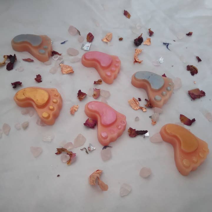 Walking Feet in Colour Wax Melt set of 2 for wholesale by How Nature Made It