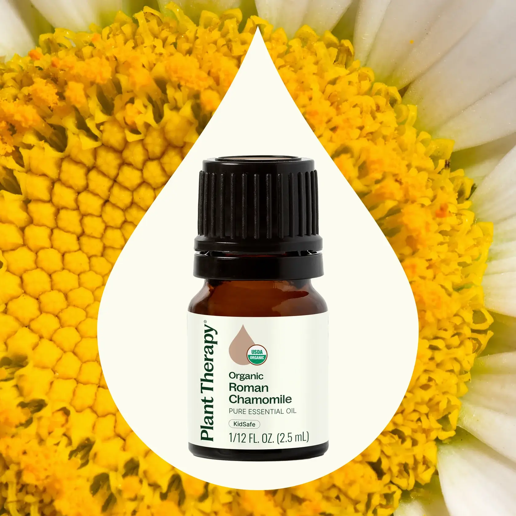 Plant Therapy - Wholesale Essential Oil - Organic Roman Chamomile Essential Oil 2.5 mL1