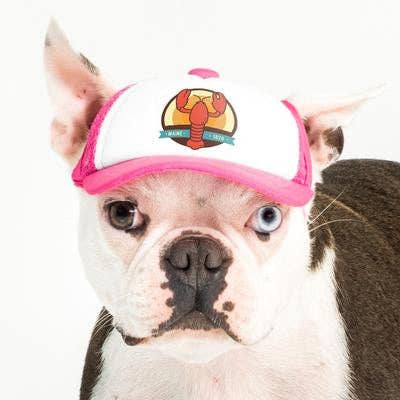 PupLid - Wholesale Pet Hat - Dog - Lobster Standard or Namedrop | Trucker Hat for Dogs2