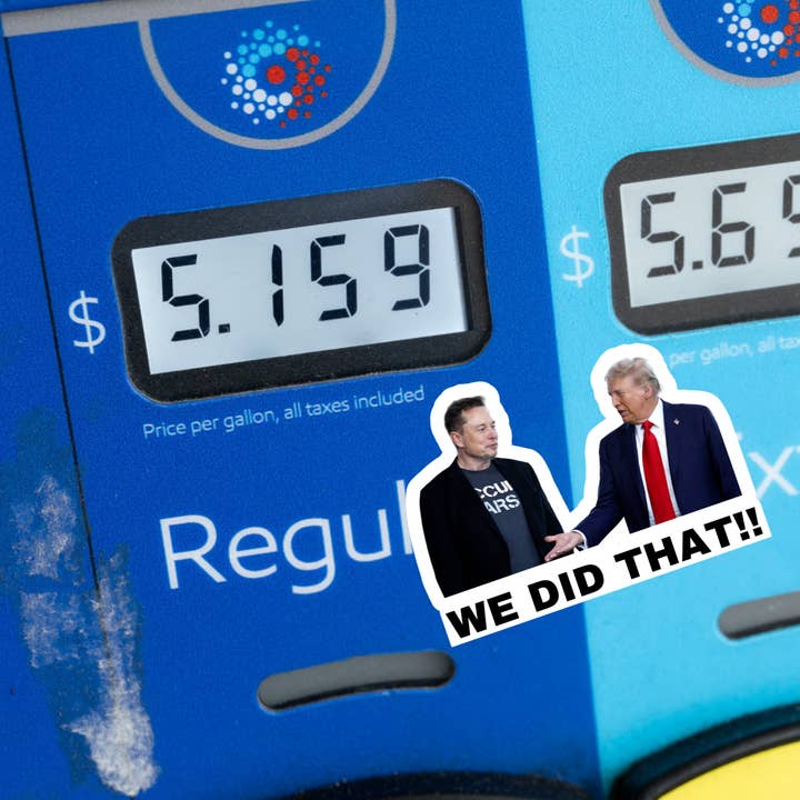 Atomic Cactus Stickers - Wholesale Sticker - We Did That Trump and Elon Sticker | Political Sticker | Vinyl Sticker | Water Resistant | Anti Trump | Meme Sticker1