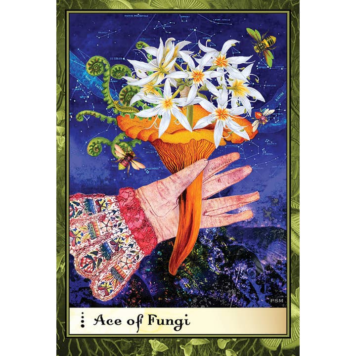 Schiffer Publishing - Wholesale Tarot Cards - Boadicea's Tarot of Earthly Delights14