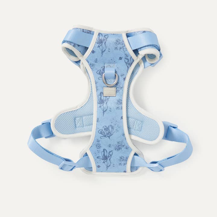 maxbone - Wholesale Pet Leash - Dog - Bridgerton x maxbone Walk Set for Dogs