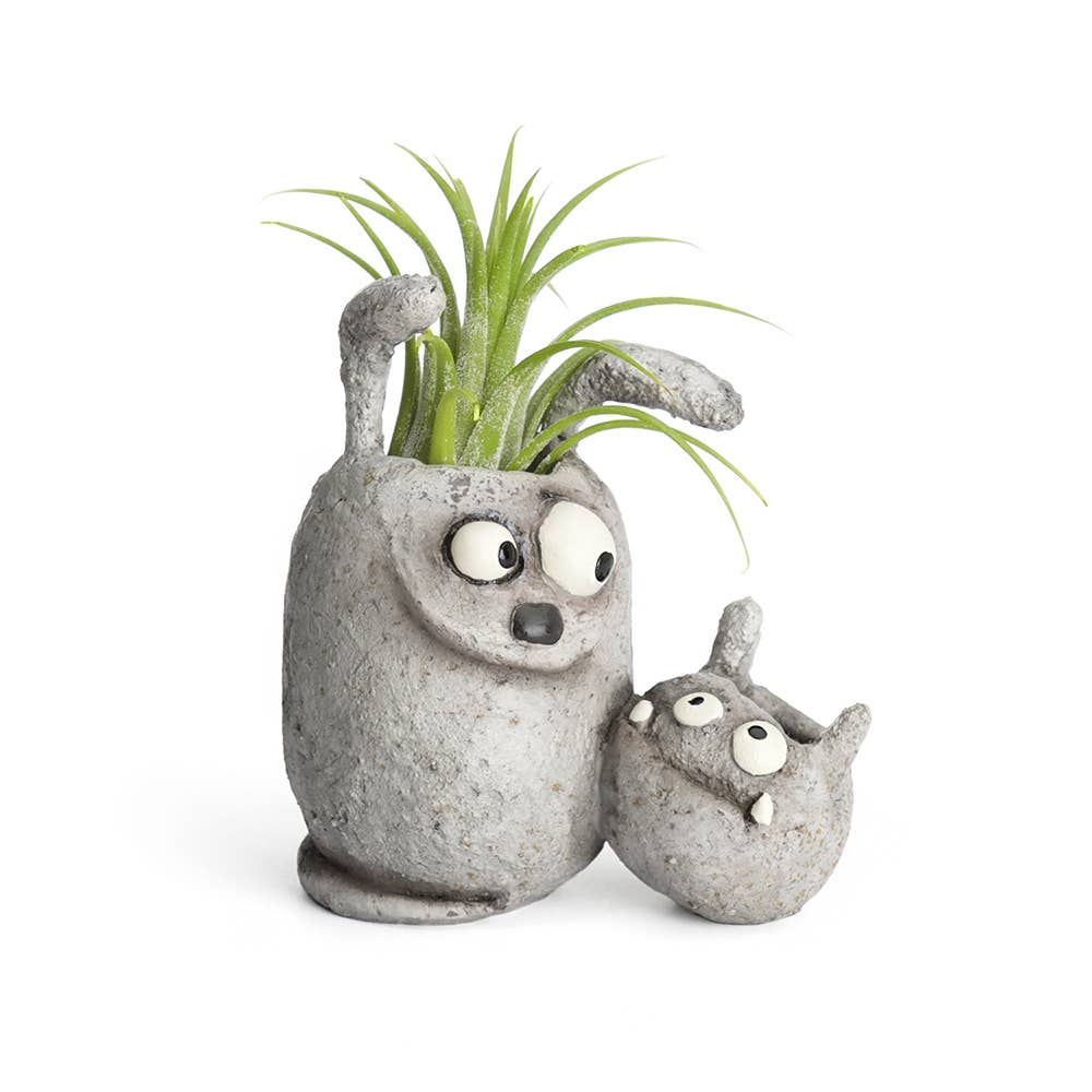 Cohasset Gifts – wholesale Plant pot – Best Buds Mini Blobhouse Planter