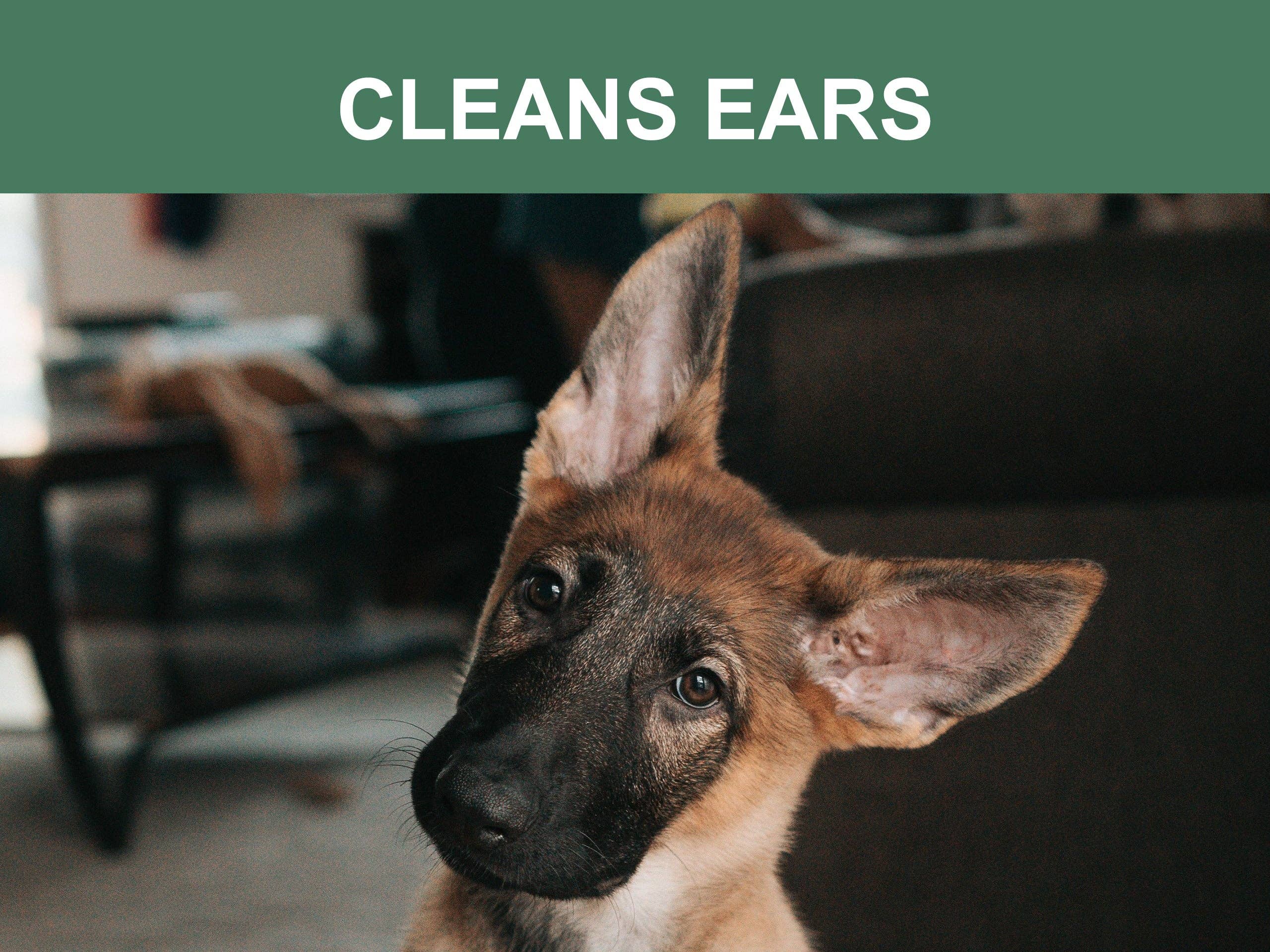 Mr. Peanut's - Wholesale Pet Grooming Aid - Dog - Mr. Peanut's Naturals Plant Based, Flushable, Compostable, Unscented Pet Wipes, 160 Count, Larger 8x6" Size2