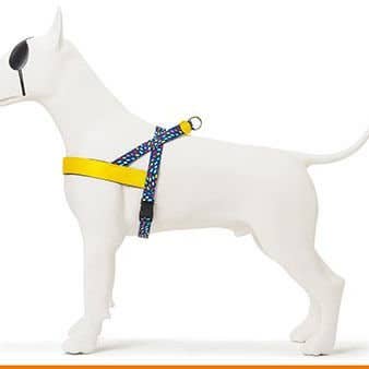 Color Invaders Norwegian Dog Harness for wholesale by MORSO®