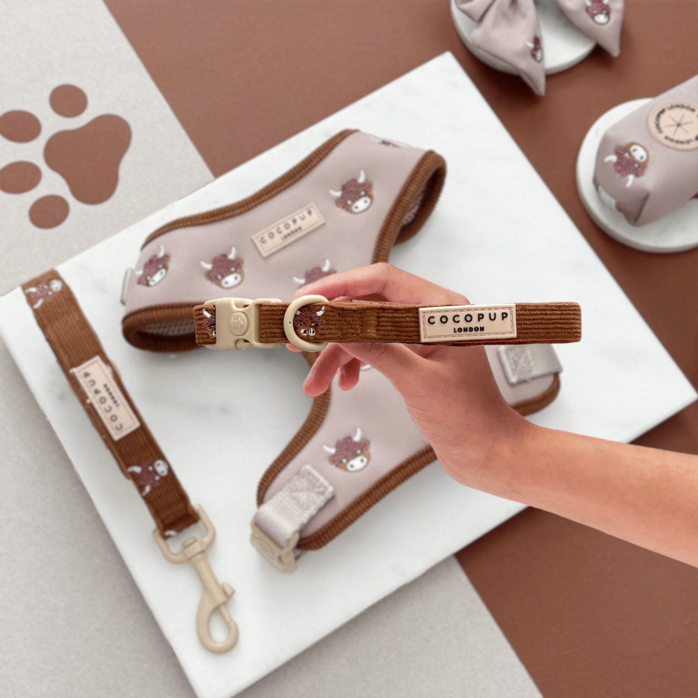 Cocopup London - Wholesale Pet collar – Dog - Harold the Highland Cow COLLAR0