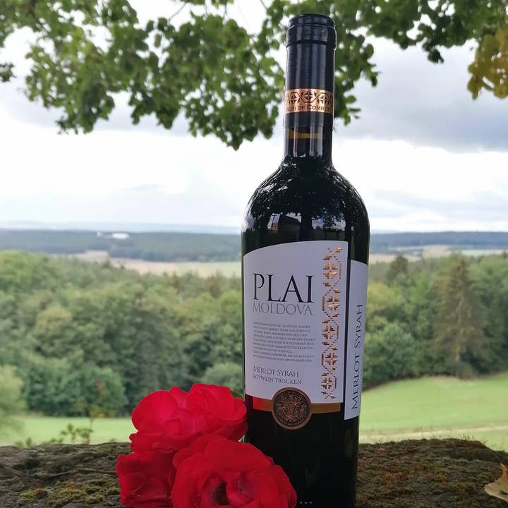 DEKA-Trade - Wholesale Red Wine - PLAI Merlot Syrah Dry Red Wine 0.75l Reserva 20174