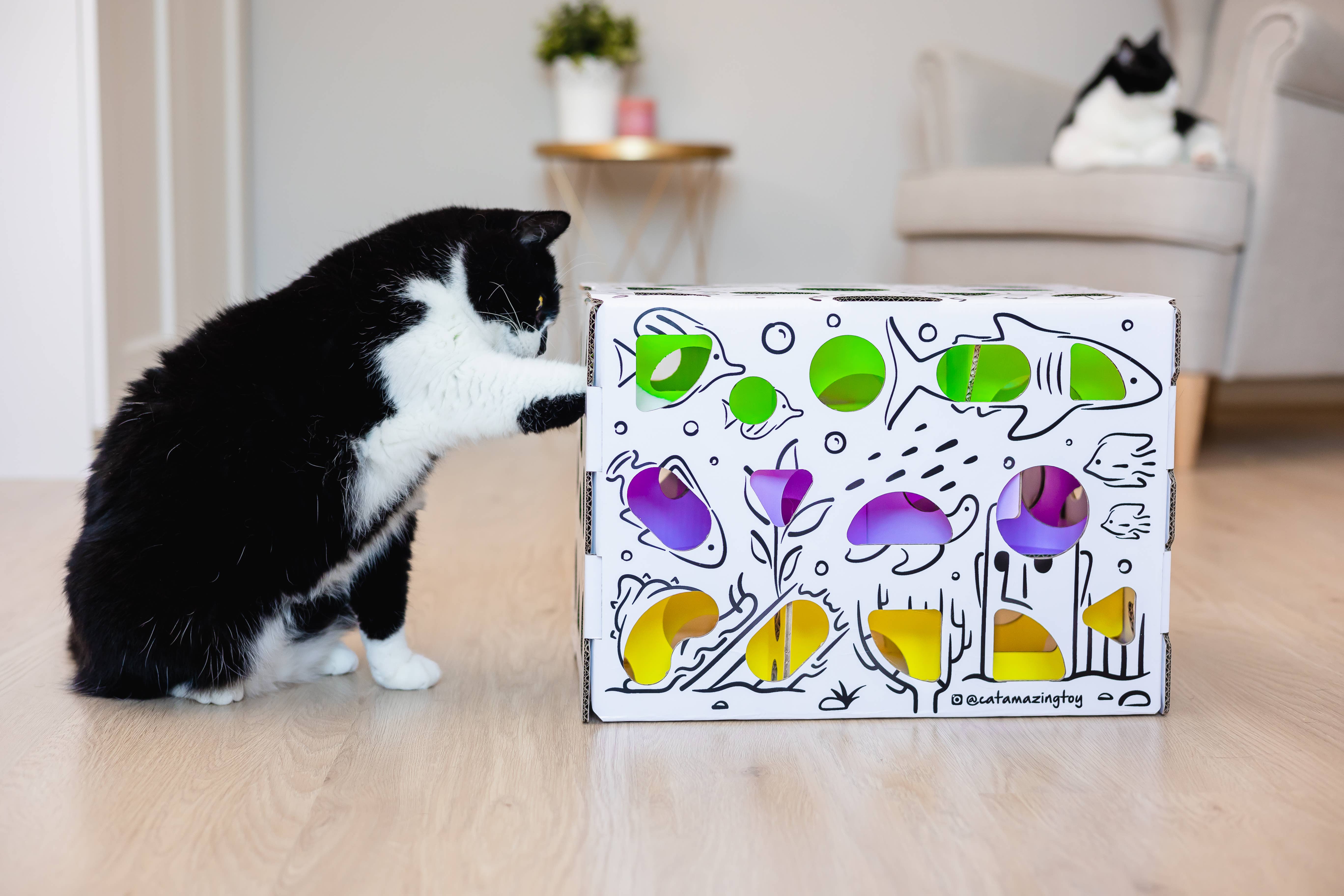 Cat Amazing - Wholesale Pet Toy - Cat - MEGA Interactive Cat Toy and Puzzle Feeder6