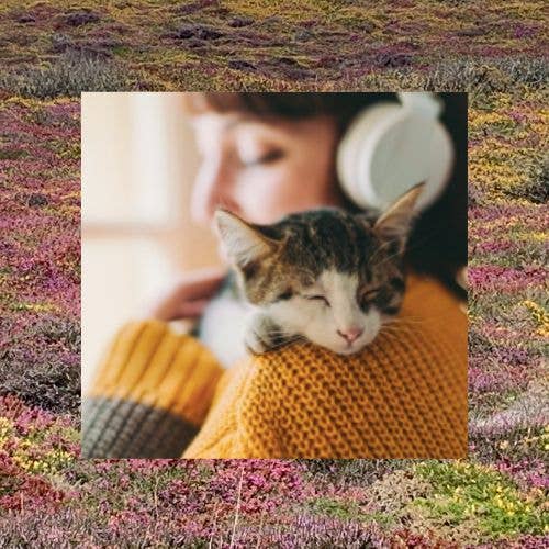 eizhy - Wholesale Cat Litter - VRAC Litzhy - vegetable litter for cats - Landes Bretonnes6