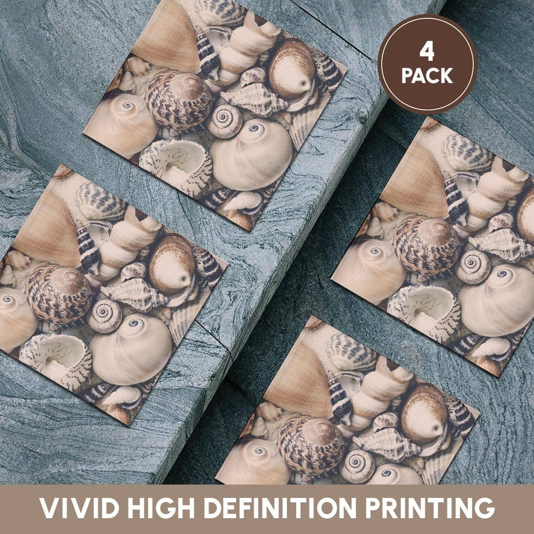 3dRose - Wholesale Coasters - 3dRose, Vintage Style Sea Shell Collection, Coaster5