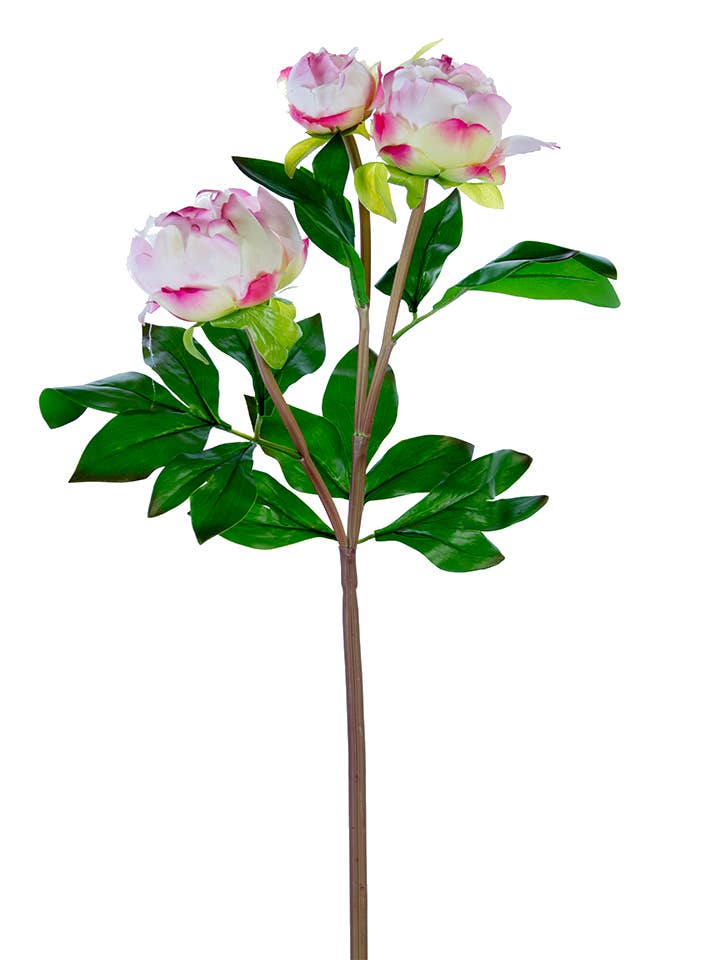 American Best - Vente Fleurs artificielles - Bourgeons de pivoine FRESH TOUCH de 28"5