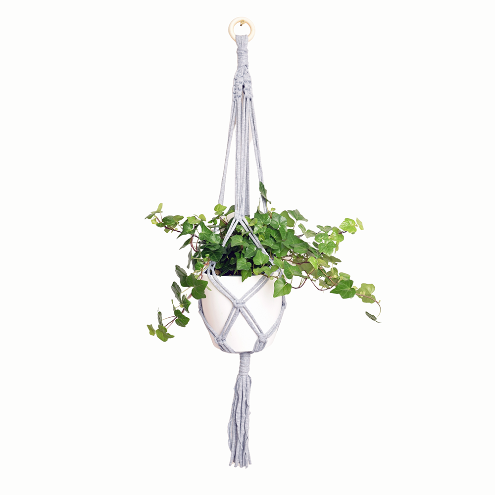 Shreds + rerope - Wholesale DIY Craft Kit - Eco DIY Macrame Plant Hanger Kit30