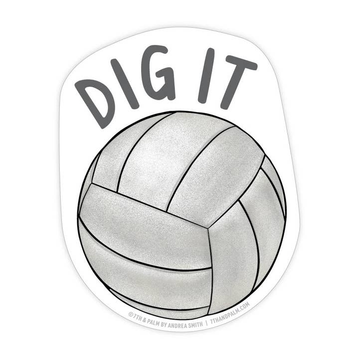 Volleyboll för wholesale av 7th & Palm