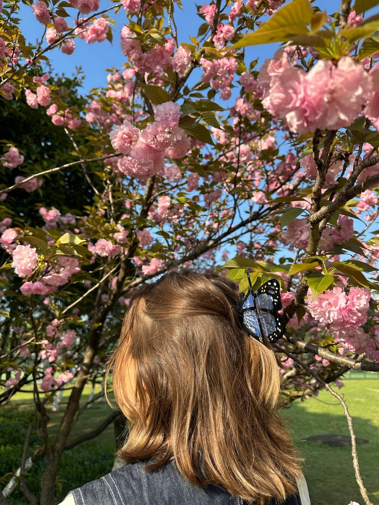 Solar Eclipse – wholesale Hair clip – Women’s – Hand-painted Monarch Butterfly Claw Hair Clip | Eco-Friendly1