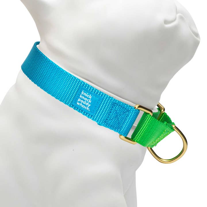 Blå & Neon Grön Martingal för wholesale av Knick Knack Paddywhack Dog Gear