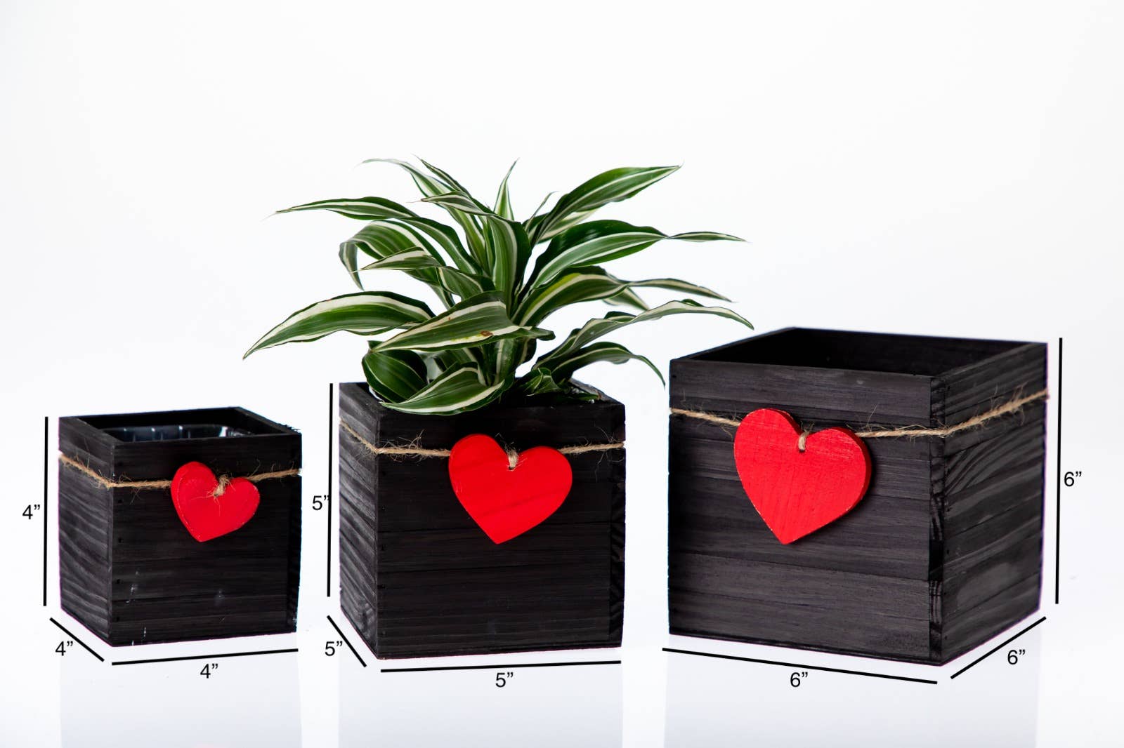 UNIMIX FLORAL - Vente Jardinière - Jardinières en bois/Conteneur - 3 couleurs assorties Cœur Saint-Valentin&Mday10