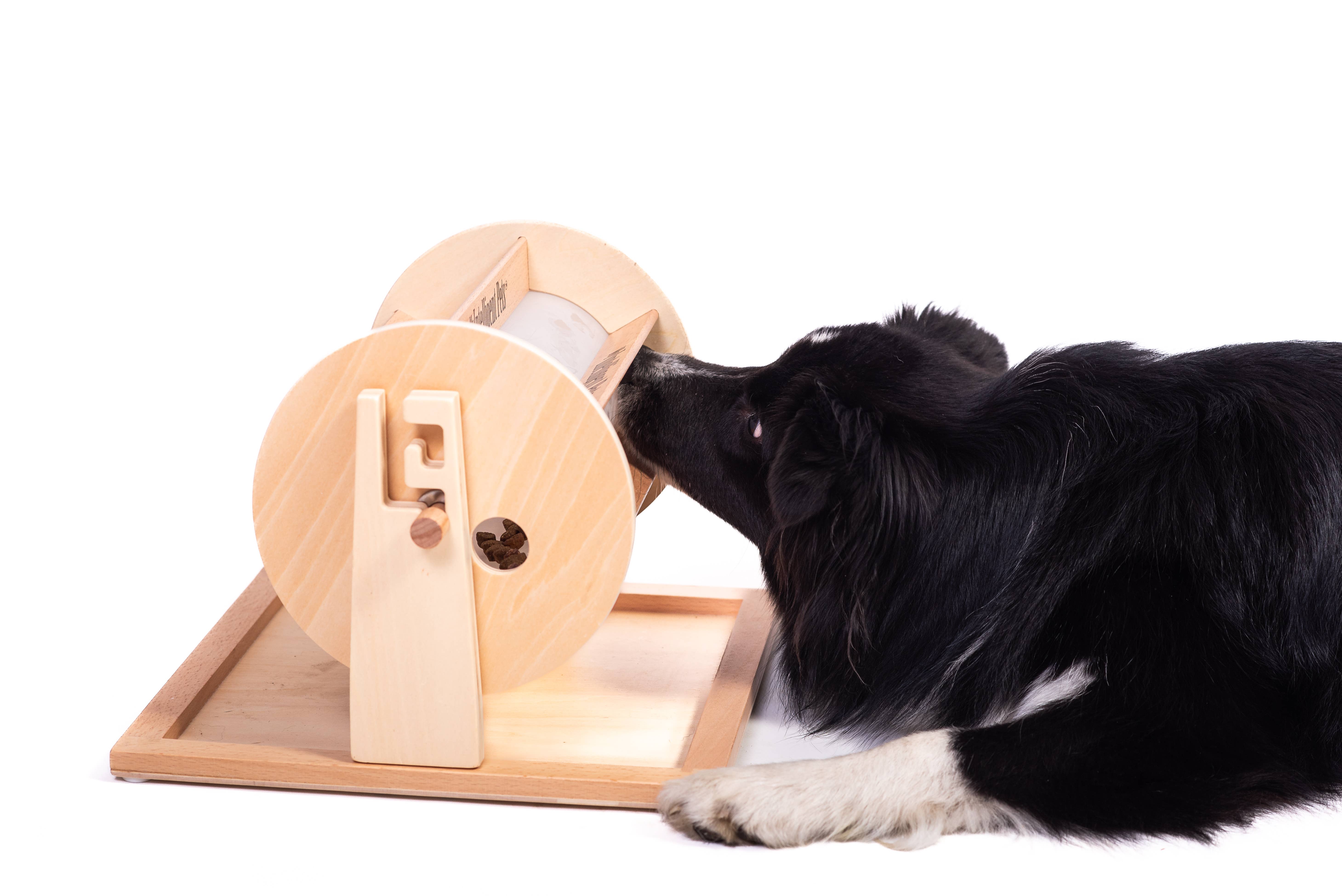 My Intelligent Dogs - Wholesale Pet Toy - Cat/Dog - Wheel of Fortune - Pet Toy of the Year - pet treat dispenser4