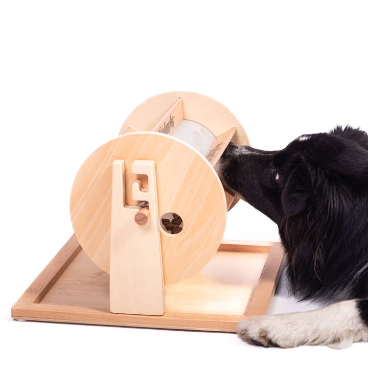 My Intelligent Dogs - Wholesale Pet Toy - Cat/Dog - Wheel of Fortune - Pet Toy of the Year - pet treat dispenser4