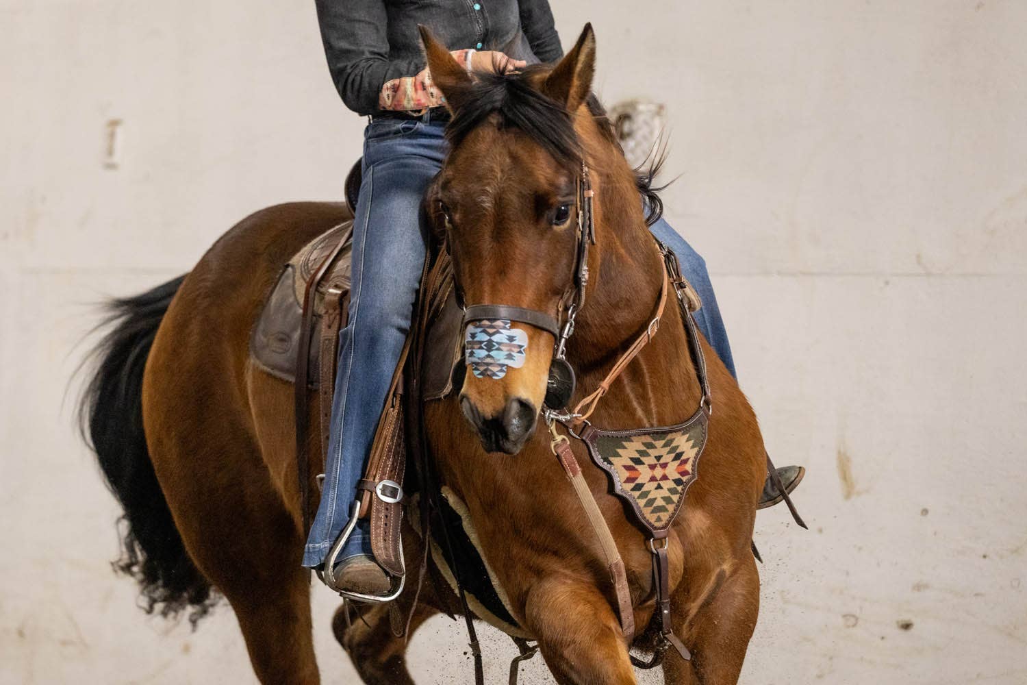 Equine Excellence - Wholesale Horse Conditioner/Grooming Aid - EquiBreathe™ Equine Nasal Patch - Aztec6