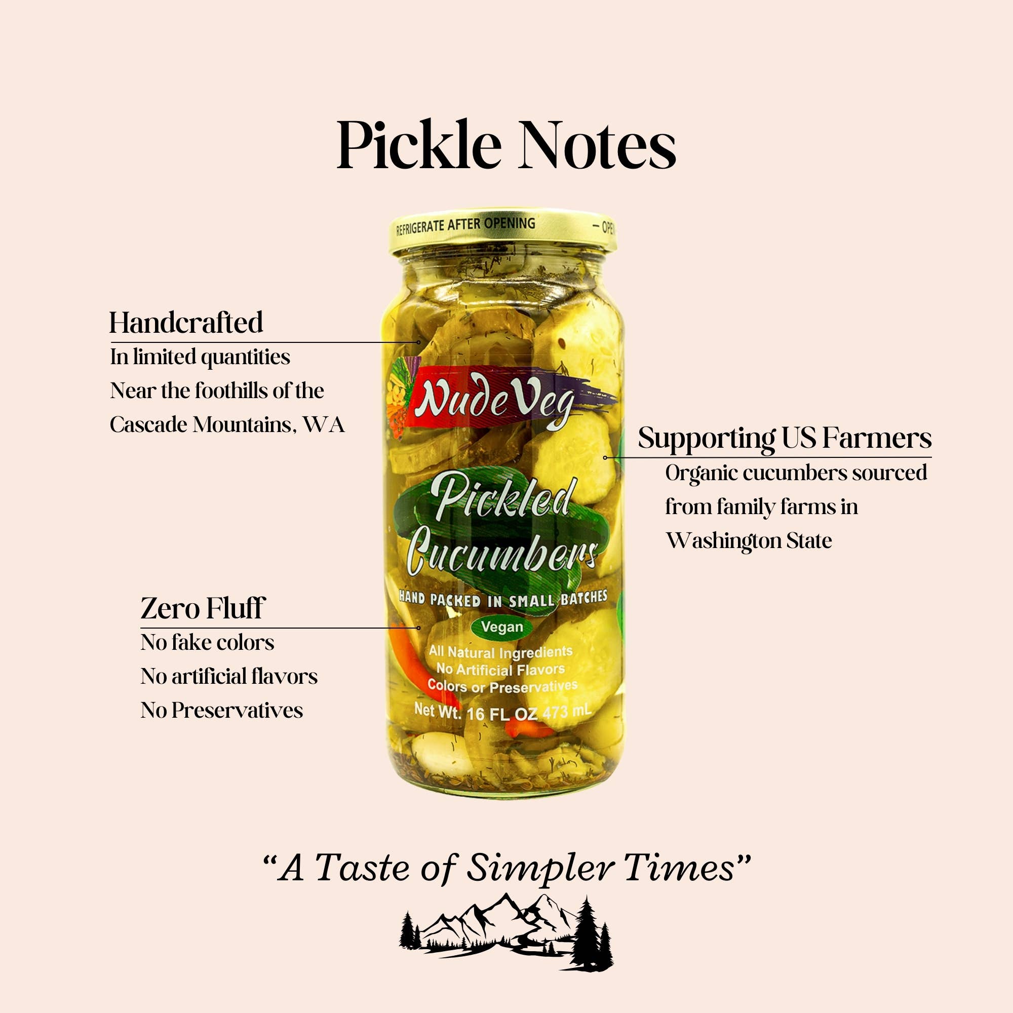 Ayurveg | NudeVeg Pickles - Wholesale Pickled Vegetables - Handcrafted Dill Pickles | Artisanal Classic Spice | 16oz1